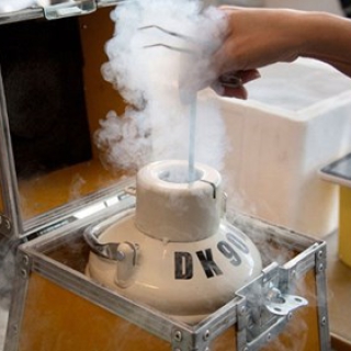 Ngân Hàng Tinh Trùng Quan Trọng Như Thế Nào, Hoạt Động Ra Sao?