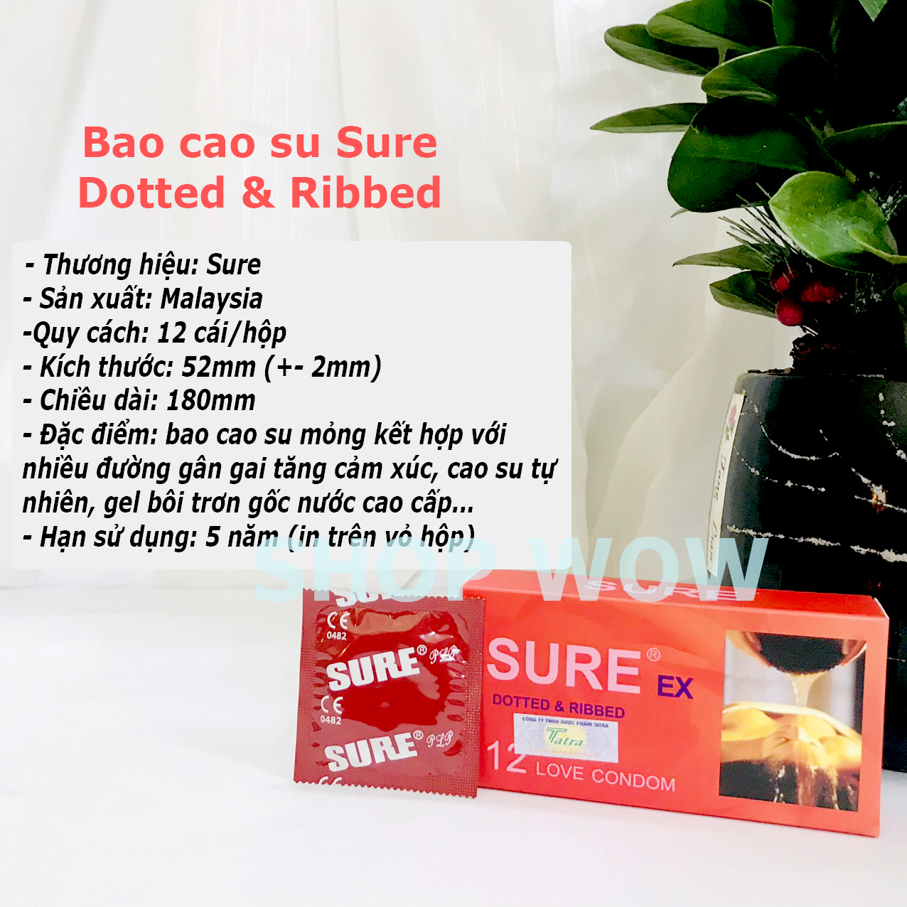 bao cao su sure ex|bao cao su sure ex dotted and ripped|shop bao cao su|bao cao su|bao cao su nữ|bcs gai|bcs sagami|bao cao su olo|bao cao su cho nữ|bao cao su ngón tay|shop bcs gần đây|shop bcs ok|shóp tình dục|shóp nguoi lon| shop bcs