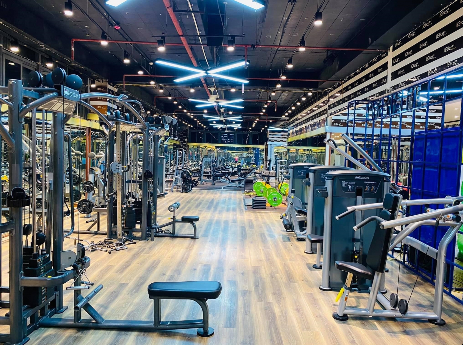 Kinh doanh phòng tập gym có trở thành tỷ phú?